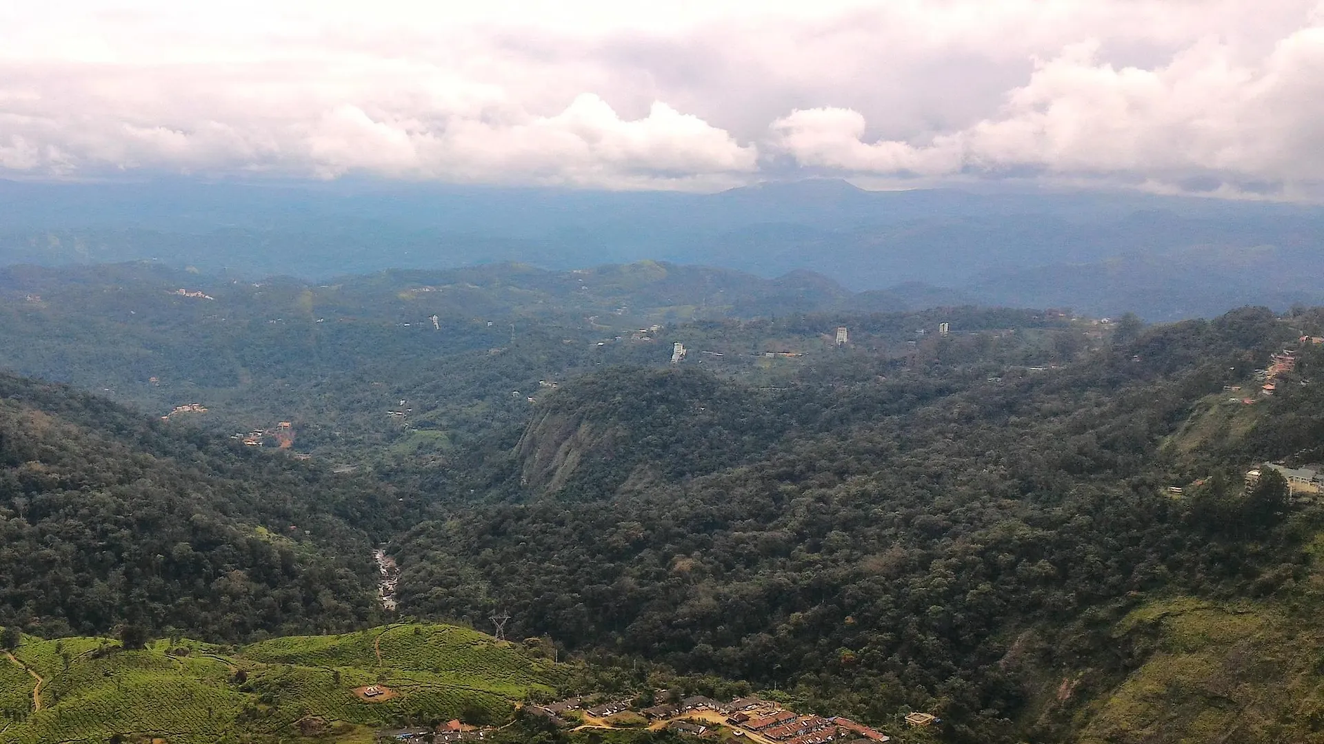 Hotel Fragrant Nature Munnar